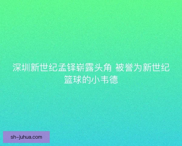 深圳新世纪孟铎崭露头角 被誉为新世纪篮球的小韦德
