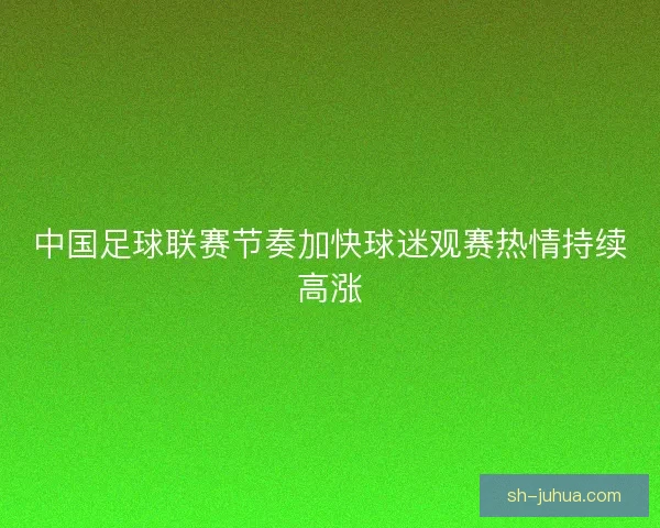 中国足球联赛节奏加快球迷观赛热情持续高涨