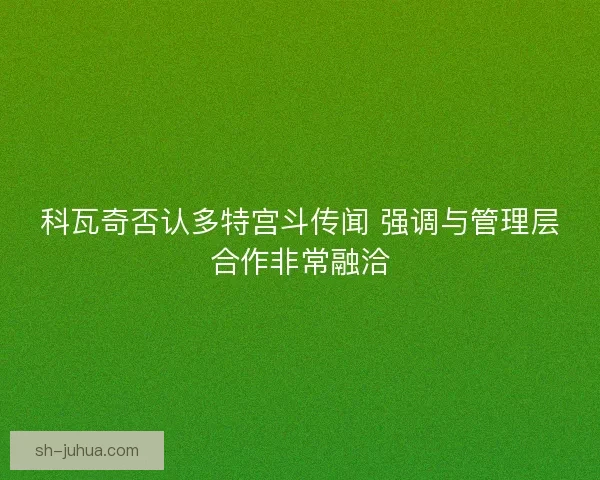 科瓦奇否认多特宫斗传闻 强调与管理层合作非常融洽 科瓦奇否认多特宫斗传闻 强调与管理层合作非常融洽